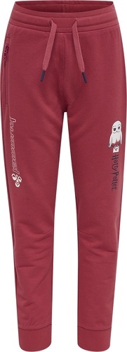 HUMMEL-hmlHARRY POTTER ON PANTS-2
