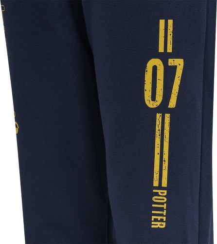 HUMMEL-hmlHARRY POTTER ON PANTS-3