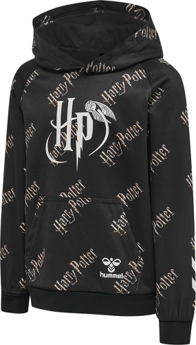 HUMMEL-hmlHARRY POTTER HOODIE-0
