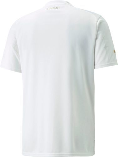 PUMA-Maillot Away 2022 Serbie-2