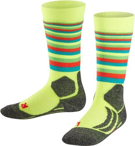 FALKE-Falke Des Chaussettes Sk2 Stripe-1