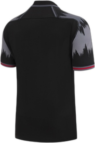 MACRON-Maillot Training Pays de Galles XV 2022/23-1