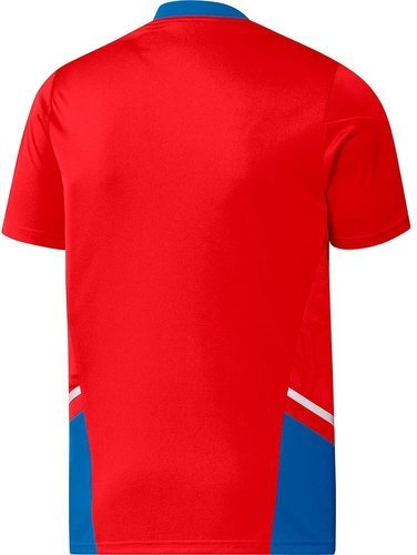 adidas Performance-Maglia D'Allenamento Fc Bayern Condivo 22-1