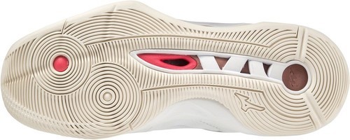 MIZUNO-Wave Momentum 2-2