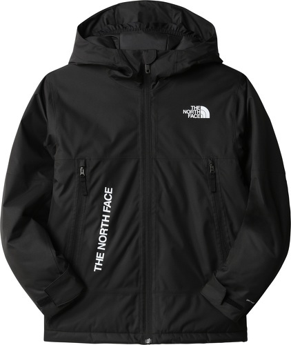 THE NORTH FACE-Manteau de ski Noir Homme The North Face Freedom Insulated-image-1