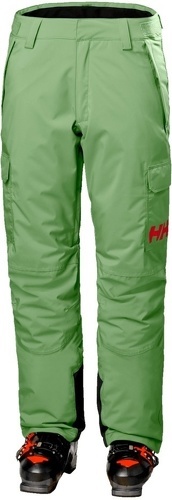 HELLY HANSEN-Helly Hansen W Switch Cargo Insulated Pant-0