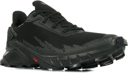 SALOMON-Alphacross 4 Gore-Tex-1