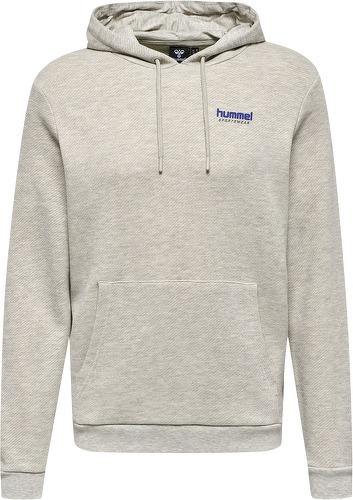 HUMMEL-HMLLGC AUSTIN HOODIE-2