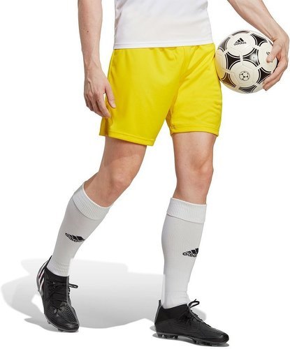 adidas Performance-Short Entrada 22-3