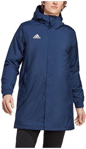 adidas Performance-Veste Entrada 22 Stadium-4