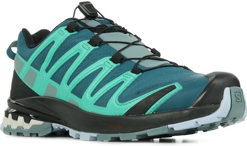 SALOMON-Xa Pro 3D V8 Gore-Tex-1