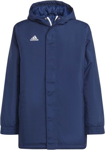 adidas Performance-Veste Entrada 22 Stadium-0
