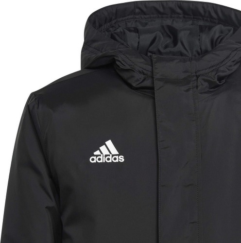 adidas Performance-Veste Entrada 22 Stadium-3