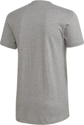 adidas-T-shirt Terrex Logo-1
