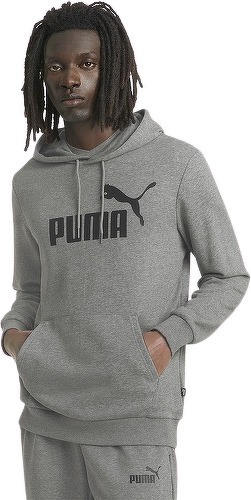 PUMA-Big Logo - Sweat-2