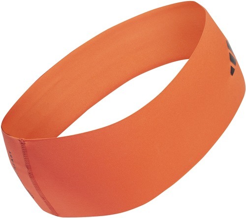 adidas Performance-Bandeau Terrex AEROREADY-1