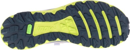 inov-8-TrailFly G 270 V2-1