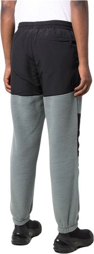 THE NORTH FACE-The North Face Denali - Pantalon-2