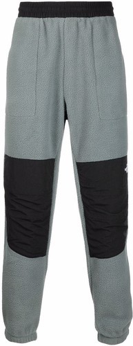 THE NORTH FACE-The North Face Denali - Pantalon-0