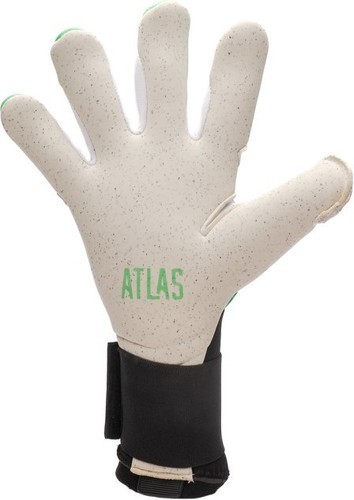 SP Fútbol-SP Fútbol Atlas Élite-2