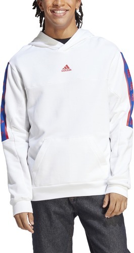 adidas Sportswear-Hoodie Brandlove-4