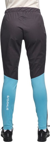 DAEHLIE-Daehlie pantalon challenge wmn nine iron pantalon ski nordique-3
