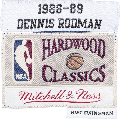 Mitchell & Ness-Maillot NBA Dennis Rodman Detroit Pistons 1988-89 Mitchell & ness Hardwood Classic Swingman Bleu-2