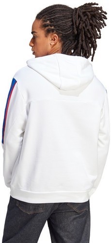 adidas Sportswear-Hoodie Brandlove-1