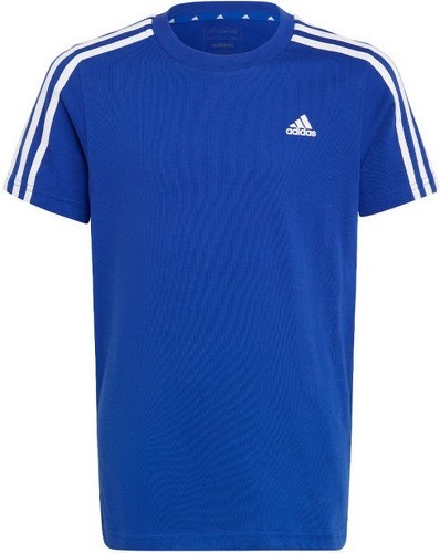 adidas Sportswear-adidas Kinder T-Shirt Essentials 3-Stripes Cotton Tee IC0604-image-1