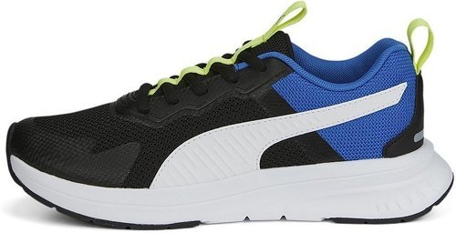 PUMA-Evolve Run Mesh-3