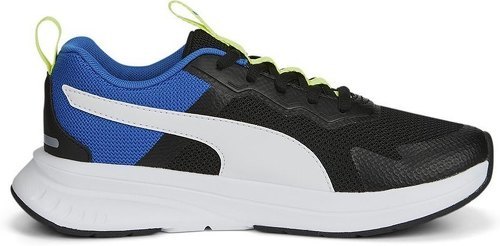 PUMA-Evolve Run Mesh-2