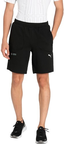 PUMA-Puma MAPF1-3