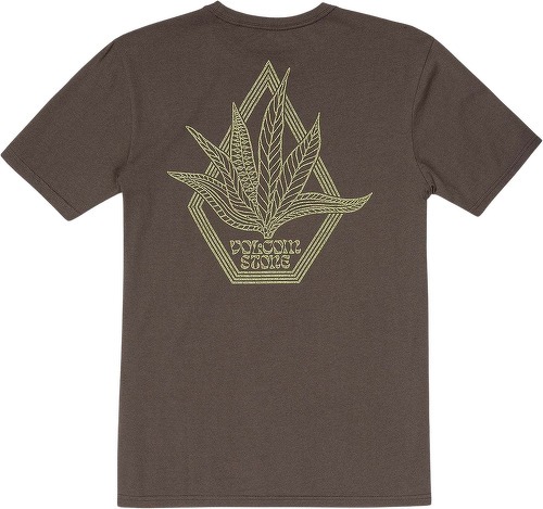 VOLCOM-T-shirt Perennial - RINSED BLACK-1