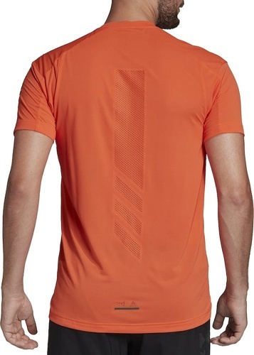 adidas Performance-Terrex Agravic Trail Running-1
