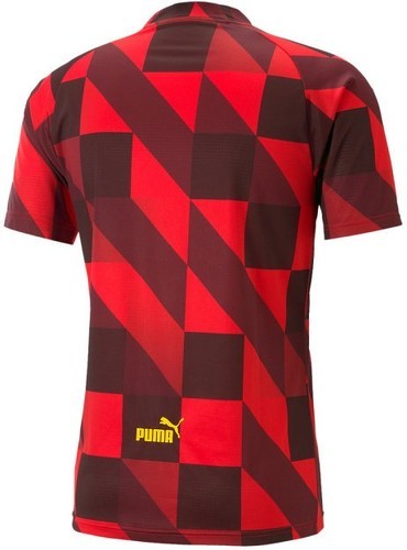 PUMA-Puma Manchester City FC Pre-Match 2022-2023-1