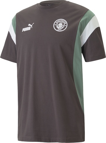 PUMA-T-shirt Manchester City ftblArchive Homme 2022/23 Gris-image-1