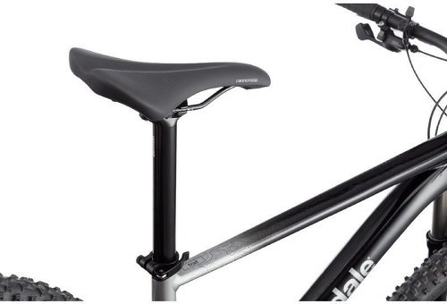 CANNONDALE-VTT Cannondale Trail SL 4 29'' 2022-3