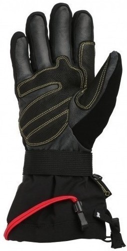 Millet-Ice Fall  - Gants de ski-1