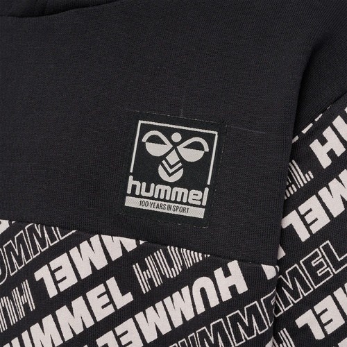 HUMMEL-hmlCAMERON HOODIE-3