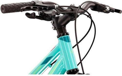 KROSS-Vélo Vtt Lea 1.0 24''-3