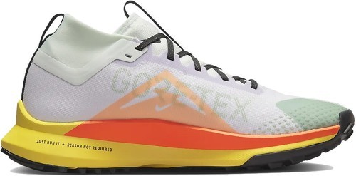 NIKE-Pegasus Trail 4 Gore Tex-2
