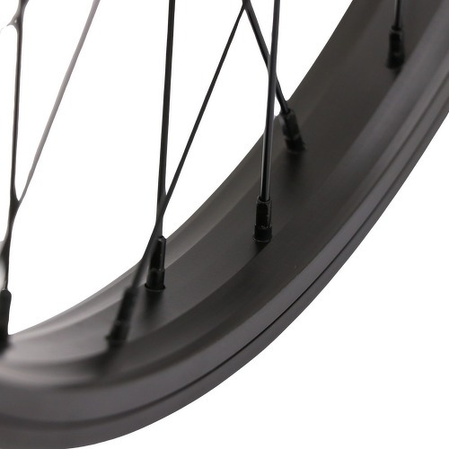 GT BICYCLES-Roue Arrière GT Bikes Freestyle Freecoaster Noir-2