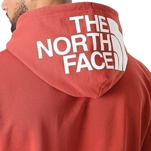 THE NORTH FACE-The North face Seasonal Light Drew Peak hoodie-2