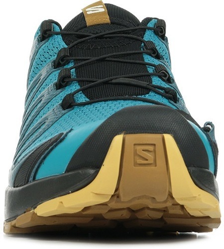 SALOMON-Xa Pro 3D V8-2