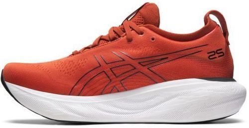 ASICS-Gel Nimbus 25-1