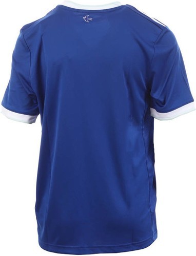 adidas Performance-Domicile Cardiff City Fc-1