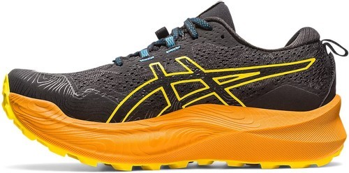 ASICS-Trabuco Max 2-3