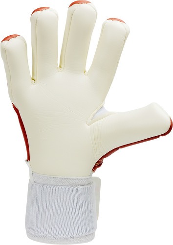 BU1-11TS custom NC Junior-3