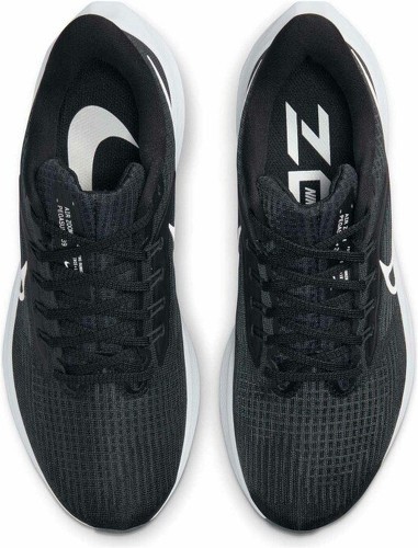 NIKE-Pegasus 39-4