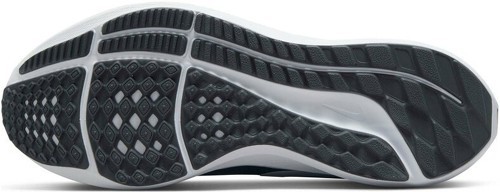 NIKE-Pegasus 39-3